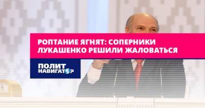 Роптание ягнят: соперники Лукашенко решили жаловаться