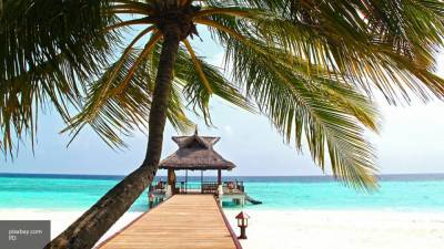 АТОР назвала дату открытия Мальдив для российских туристов