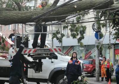 Видео: спасатели распиливают дерево, рухнувшее на улице Есенина