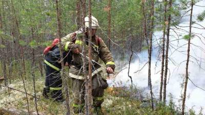 Силами МЧС России предотвращено распространение природного пожара в сторону городов Югорск и Советский ХМАО