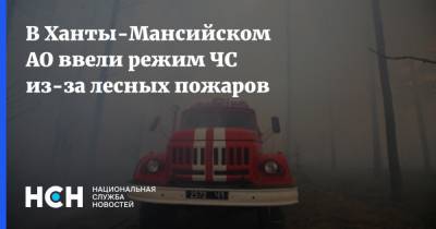 В Ханты-Мансийском АО ввели режим ЧС из-за лесных пожаров