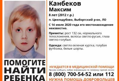 В Выборгском районе Ленобласти потерялся ребёнок