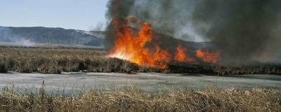 Жители Магаданской области пожаловались на дым от пожаров