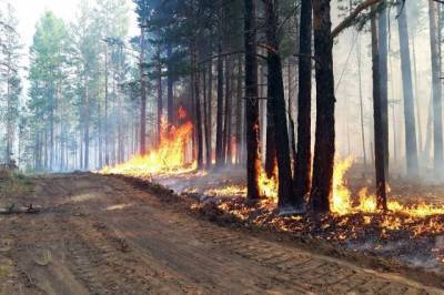 В Югре ввели режим ЧС из-за лесных пожаров