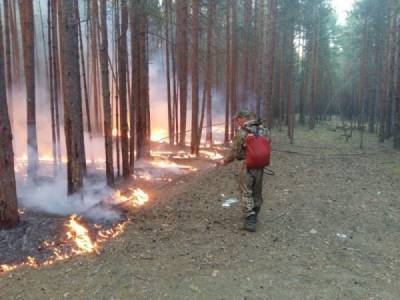 В ХМАО объявлен режим ЧС из-за природных пожаров