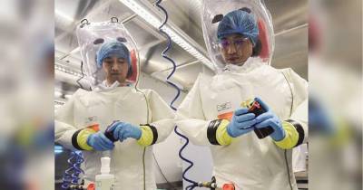 "Биологический Чернобыль": ученые из Китая сбежали на Запад и рассказали правду о коронавирусе