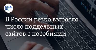 В России резко выросло число поддельных сайтов с пособиями. Доход мошенников — 8 млрд рублей