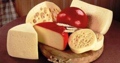 Украина почти в три раза увеличила импорт сыров