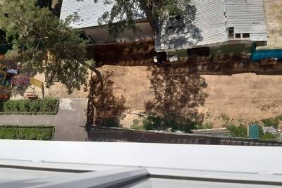 Неизвестные спилили сосну во дворе дома в мкр Северный в Чите
