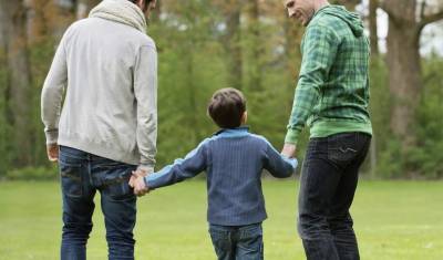 В Госдуму внесли законопроект, запрещающий однополым парам усыновлять детей