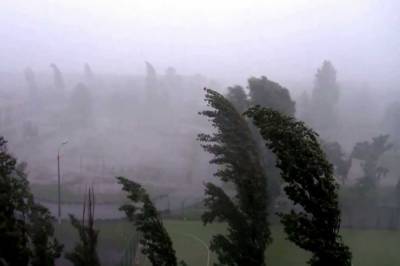 В Сумской области бушует непогода: обесточены более 50 населенных пунктов