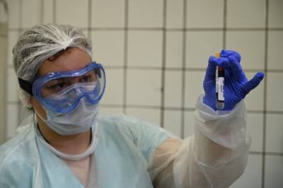 Число проведенных в России тестов на коронавирус превысило 23,7 миллиона