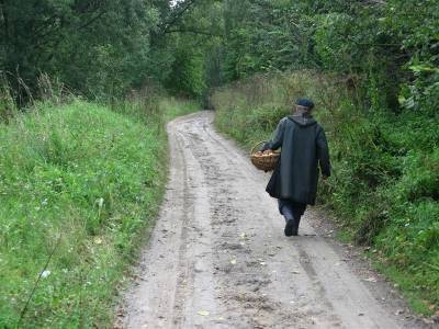 В Смоленской области нашли пенсионера, заплутавшего в лесу