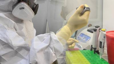 Ученые Новосибирска первыми в России получили нейтрализующие коронавирус антитела