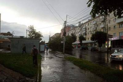 Момент падения дерева на улице Есенина попал на видео