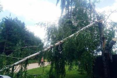 В Тверской области ликвидируют последствия ночного урагана