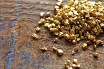СГБ задержала около 200 лиц, занимавшихся незаконной добычей золота