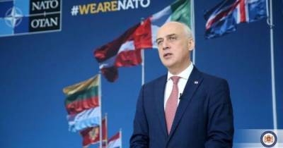 Комиссия НАТО — Грузия похвалила Тбилиси