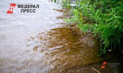 Завод фармпрепаратов в Ульяновской области требуют закрыть из-за сбросов в пруд