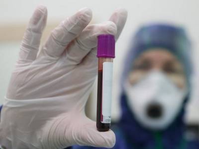 В Петербурге и Ленобласти за сутки новая коронавирусная инфекция подтвердилась у 311 человек