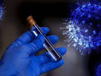 Нейтрализующие коронавирус антитела получили новосибирские ученые
