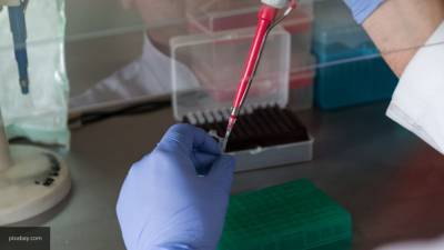 Антитела к коронавирусу SARS-CoV-2 получили ученые из Новосибирска