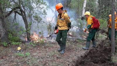 Вокруг Якутска бушуют 3 лесных пожара