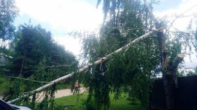 В Тверской области без света остались несколько районов