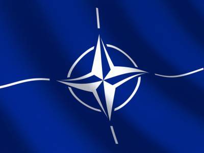 Представитель НАТО назвал реформы, которые нужно провести в Украине