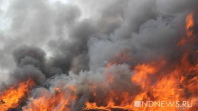 На севере области чрезвычайная пожарная опасность, горят леса, но Куйвашев отменил особый противопожарный режим