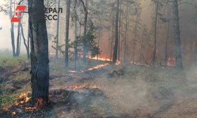 Сергей Шойгу направил самолеты Ил-76 для тушения пожаров в Ульяновской области