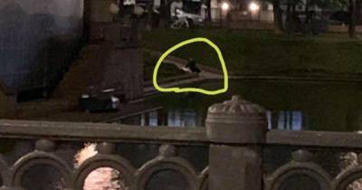 Подманил: фото возможного убийцы лебедя на Патриарших прудах