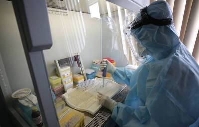 Ученые из Новосибирска первыми обнаружили действующие антитела, которые блокируют коронавирус