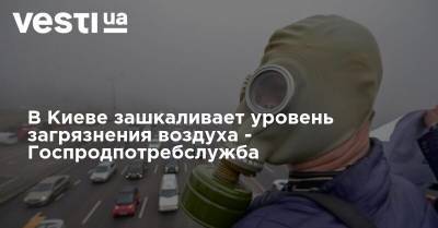 В Киеве зашкаливает уровень загрязнения воздуха - Госпродпотребслужба