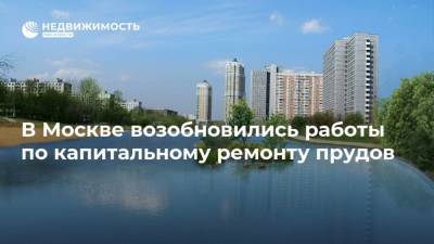 В Москве возобновились работы по капитальному ремонту прудов
