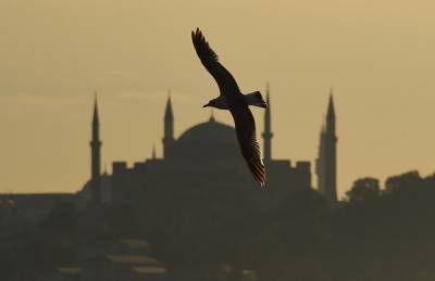 Россия и Турция договорились возобновить авиасообщение