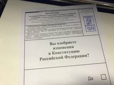 Петербургский спикер рассказал, какие поправки в Конституцию его восхищают