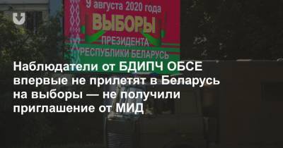 Наблюдатели от БДИПЧ ОБСЕ впервые не прилетят в Беларусь на выборы — не получили приглашение от МИД