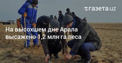 Сардор Умурзаков - На высохшем дне Арала высажено 1,2 млн га леса - gazeta.uz - Узбекистан