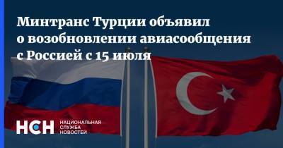 Минтранс Турции объявил о возобновлении авиасообщения с Россией с 15 июля