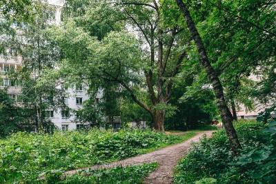 В Смоленске приводят в порядок более 8 000 кв.м зеленой зоны на ул. Николаева