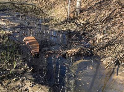 Томская прокуратура возбудила уголовное дело из-за загрязненной мазутом реки Киргизки