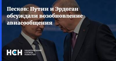 Песков: Путин и Эрдоган обсуждали возобновление авиасообщения