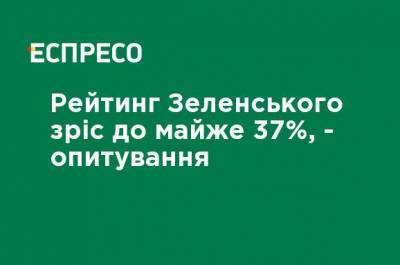 Рейтинг Зеленского вырос до почти 37%, - опрос