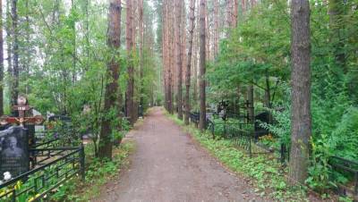 Жители Пушкино объяснили "таинственные" похороны Юлии Норкиной на кладбище в глухом лесу