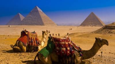 Египет решил защитить туристов от коронавируса горячей линией