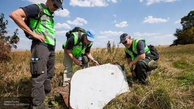 Нидерландский журналист назвал недочеты в деле MH17