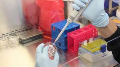 Впервые в России учёные получили нейтрализующие коронавирус антитела