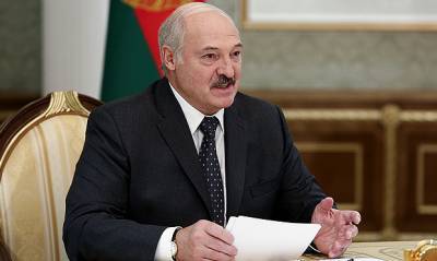 Александр Лукашенко не указал в своей декларации никакой собственности