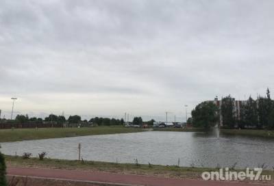 Рыба - есть: губернатору показали пруд в благоустроенном сквере посёлка Фёдоровское